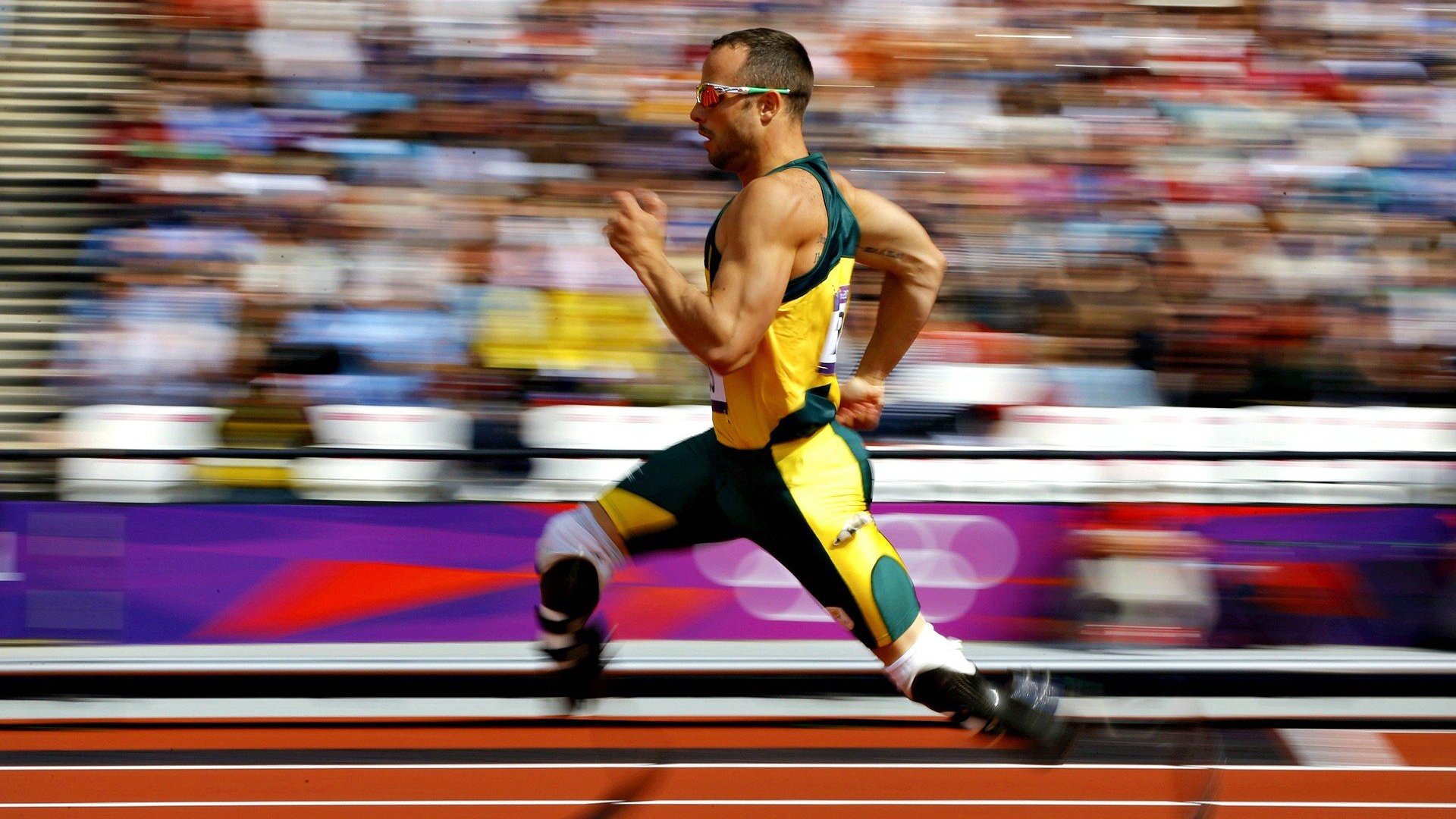 “未来之星”归来：新秀车手的辉煌起步，未来之星是谁