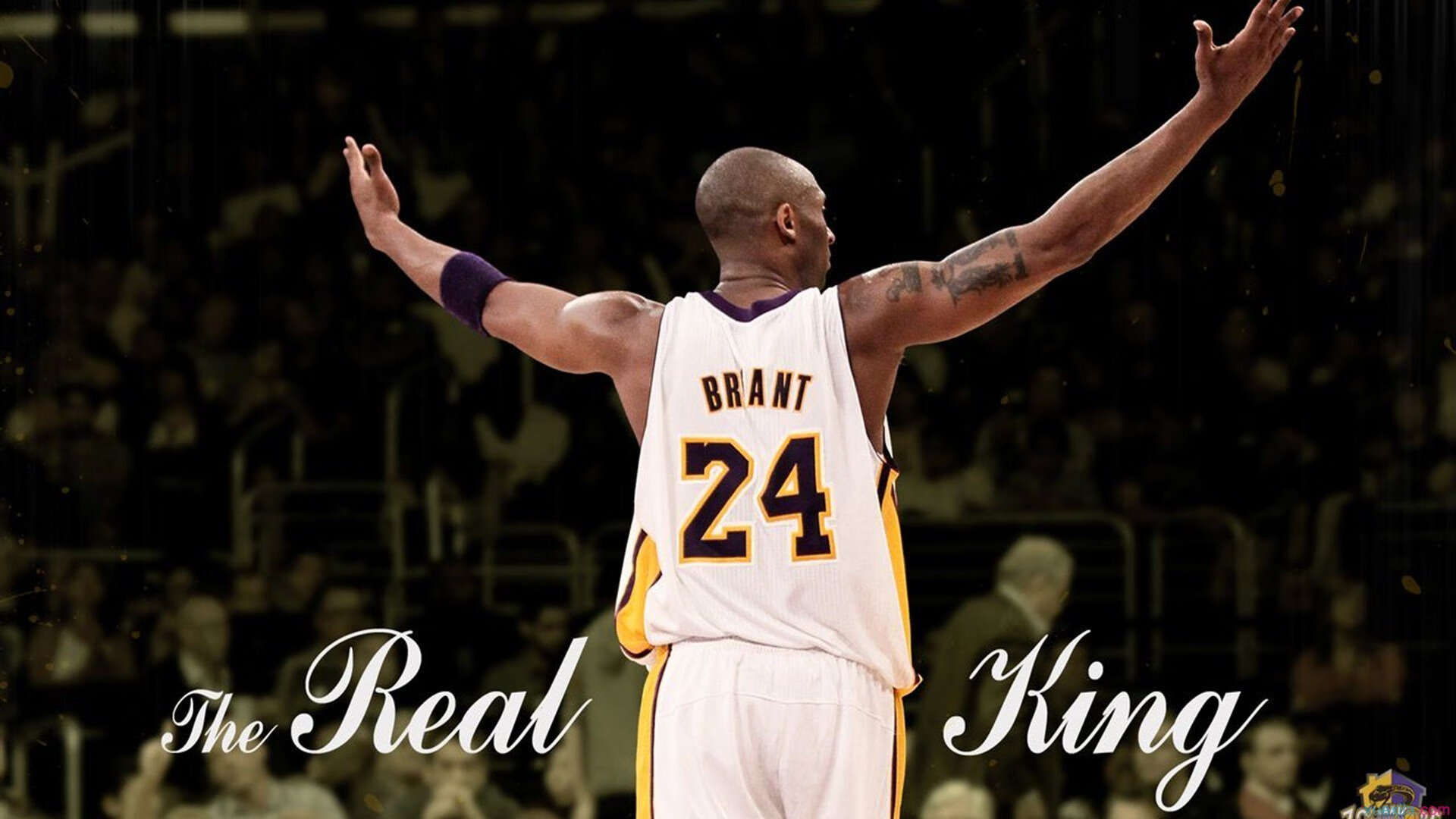 开云体育在线赛事直播-“未来之星”青少年“篮球+科技”人才培养计划在上海全面铺开，推动行业高质量发展